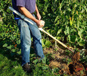 Homemade Single-Arm Gardening Equipment