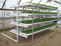 FodderPro Hydroponic Fodder System