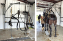 Left pic of Electric Hanging Harnessing System hanging in pole barn. Rt pic of woman harnessing horse using same system.